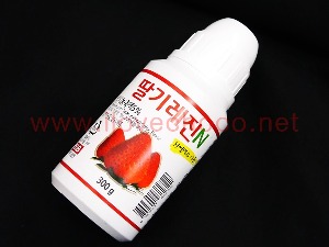 (선인) 딸기 레진N- 300g